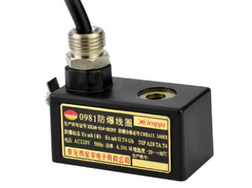 ڲΪרҵ09800981Ȧص